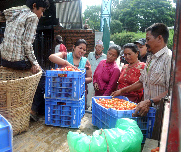 Nakhkhu-Tarkari-bajar-5