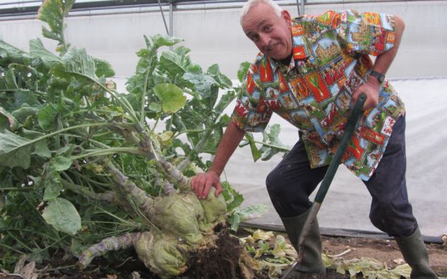 Ian Neale's Record Breaking Swede