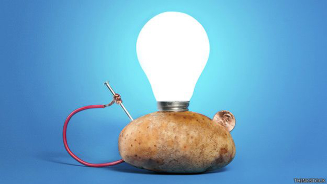 potato elect 2