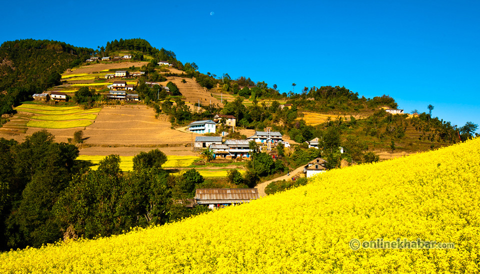 Lalitpur (1)