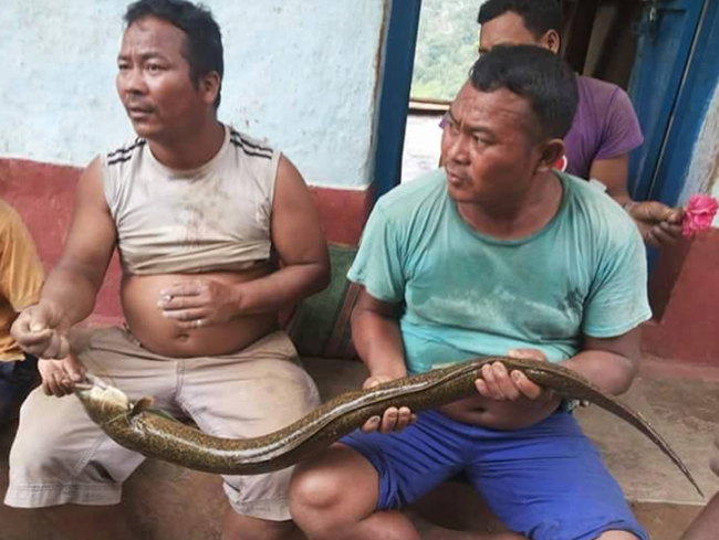 Big Fish At Tamor river (1)