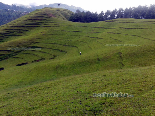 chitlang-