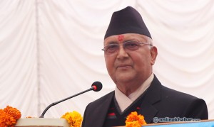 Kp oli