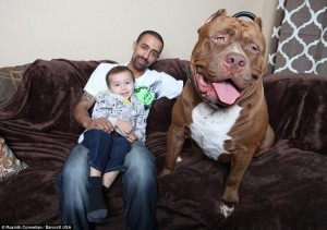 An 175lb dog called