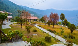 D1 Dhaulagiri view resort 10_