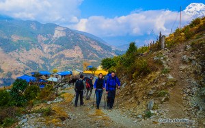 D2.51 Trekking at Tolkha village