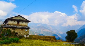 D2.56 Tolkha village