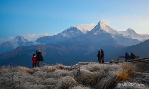 D4.12 view of Hiunchuli, Annapurna South, Braha peaks & Nilgiri respectively from the right from poon hill