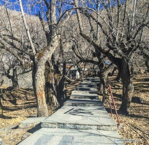 At Muktinath, near temple_