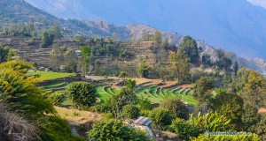 D4.69 At Ghar village, on the way to tatopani