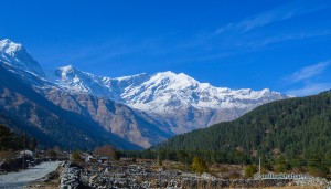 D5.30 Lete village & Tukuche peak_