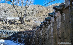 D6.81 Muktinath Natura tap_