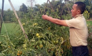 tarkari-kisan-nawalparasi