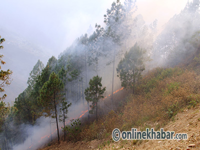 Vanai ate dadheloleh