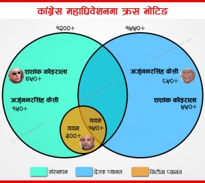 Nepali congress Voting