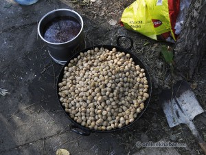 congress Convention Khana (3)