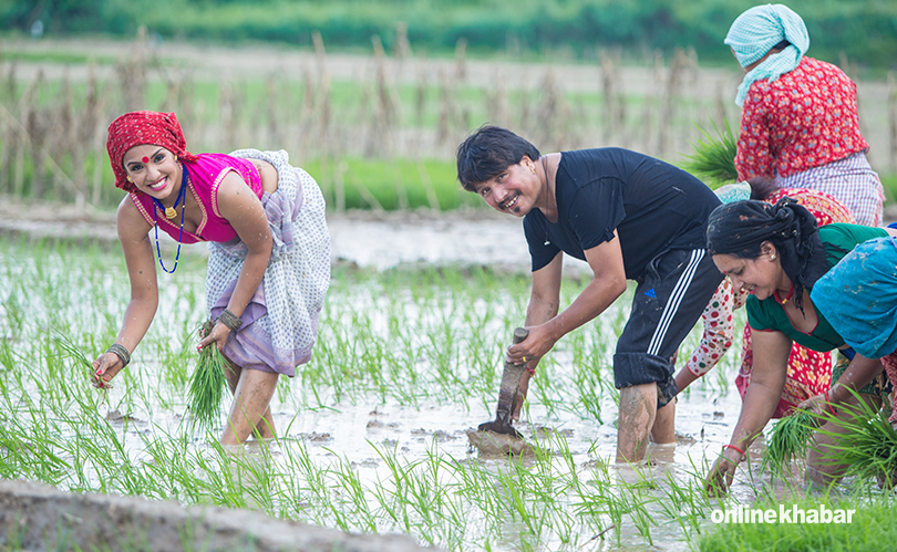 priyanka and deepak khet ropai (13)