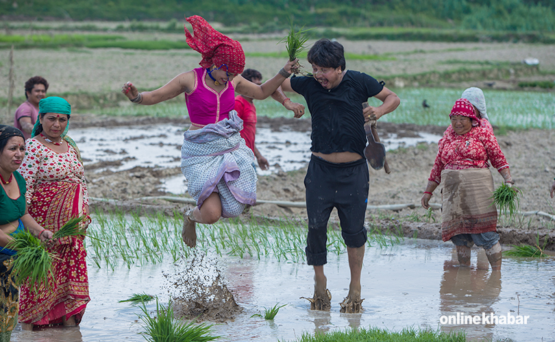 priyanka and deepak khet ropai (3)