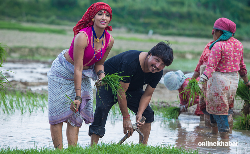 priyanka and deepak khet ropai (5)