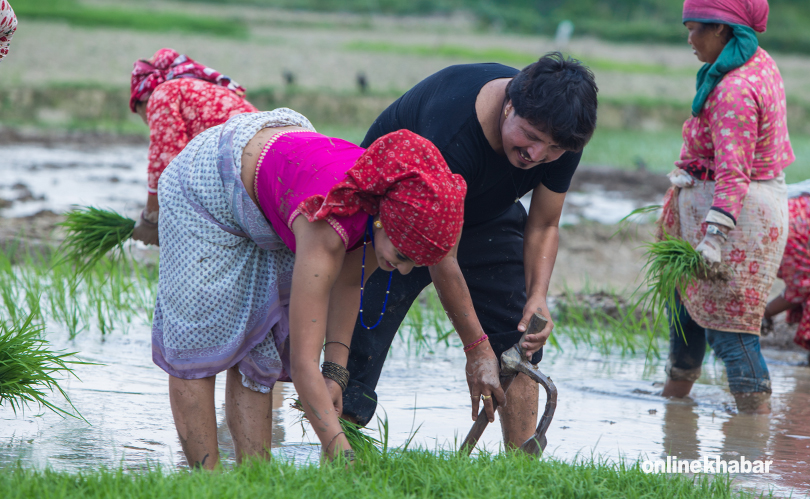 priyanka and deepak khet ropai (6)