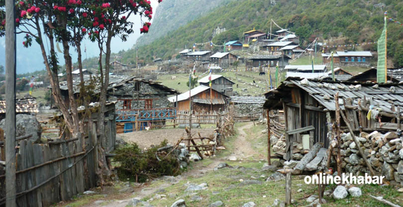 saradarthi_taplejung