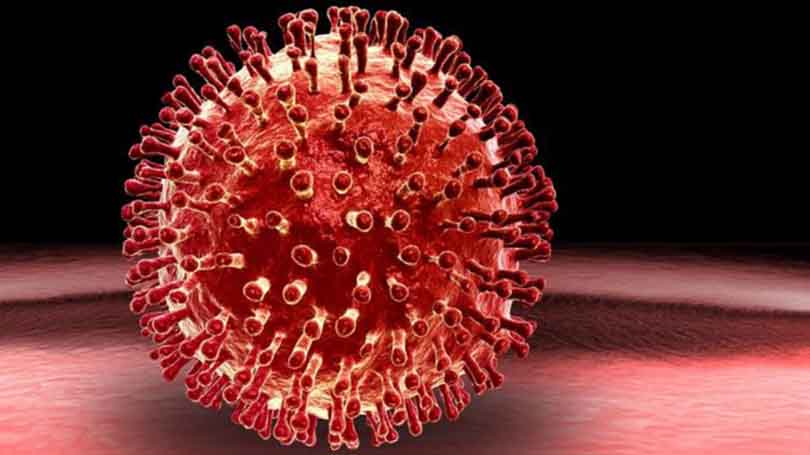Viruses