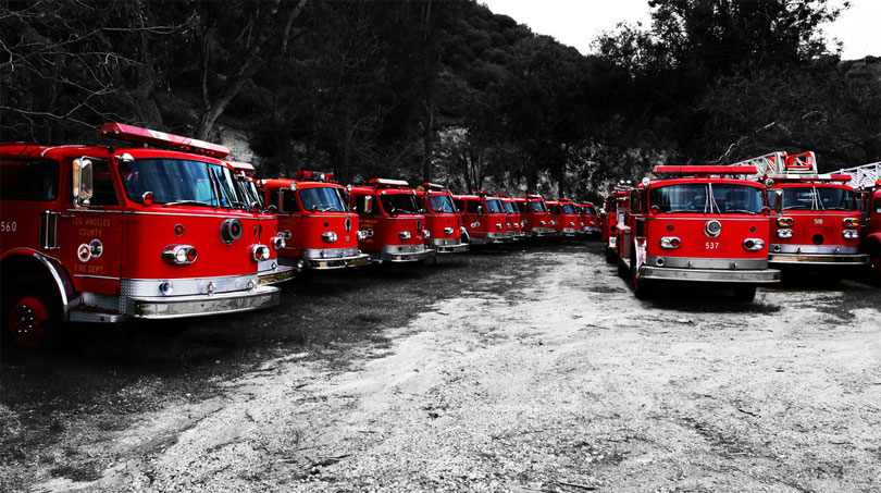 damkal-frire-truck