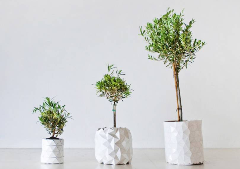 The plant pot which grows along with your plant