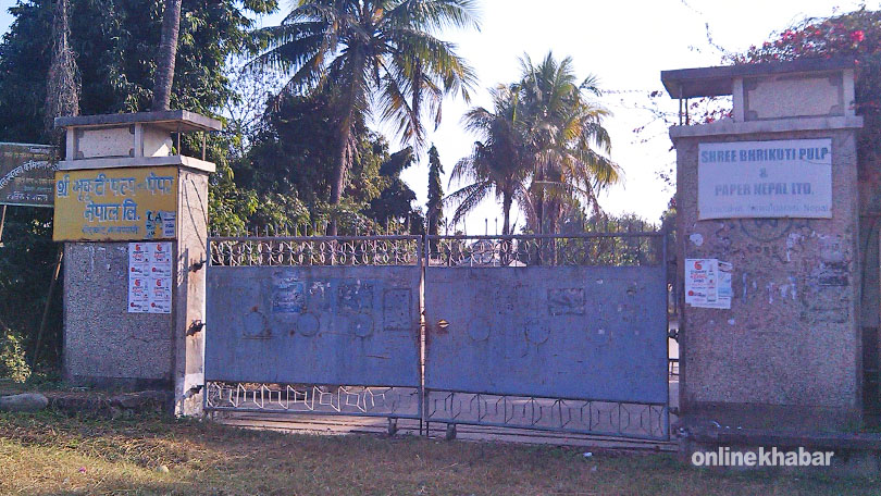 Bhrikuti Paper Mills (1)
