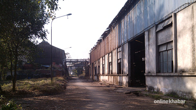 Bhrikuti Paper Mills (4)