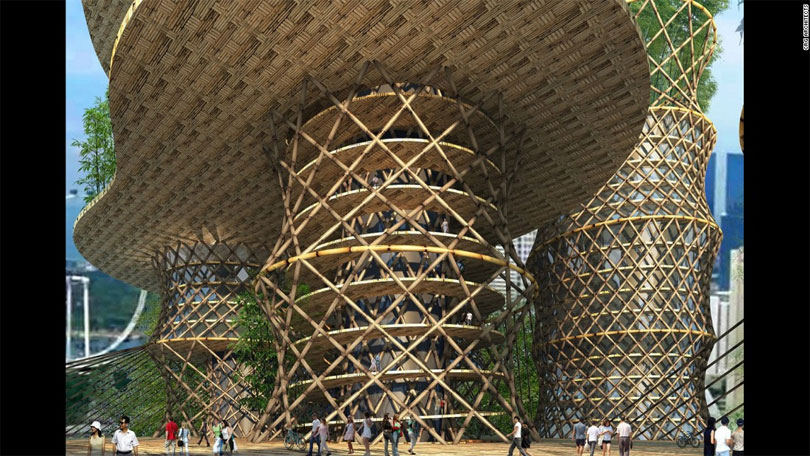 wood-building10