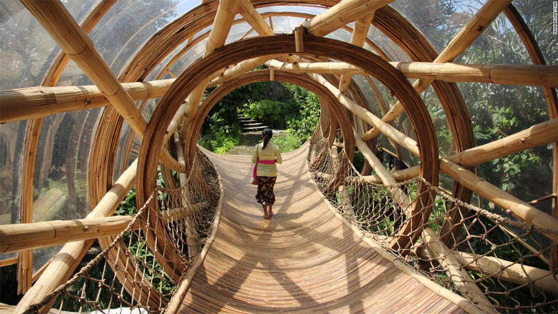 wood-building11