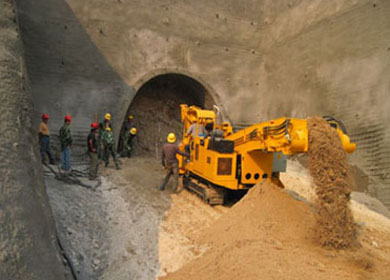 मेलम्चीविरुद्ध दुई बैंक अदालतमा
