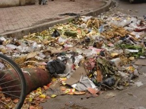 फोहोरबाट विजुली नारामै सीमित