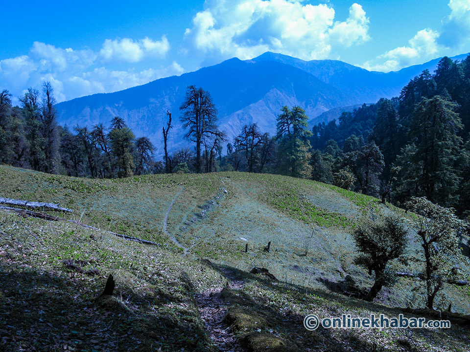 Gurila Trail (21)