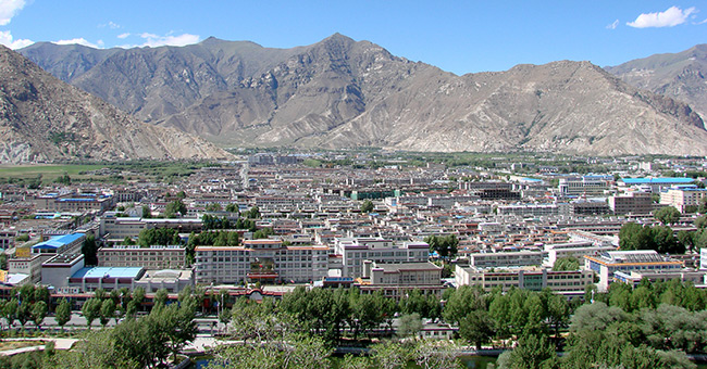 Lhasa-Chin