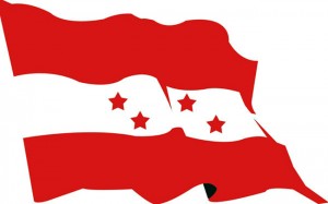 NC FLAG