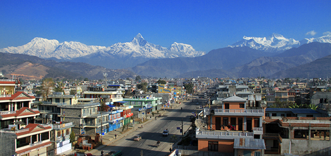 पोखराका एघार वित्तीय संस्थाको नाफा ९१ करोड