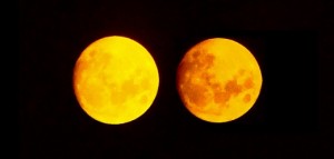 Two moon