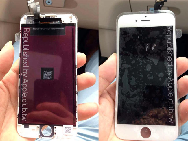 leaked-image-of-iphone-6