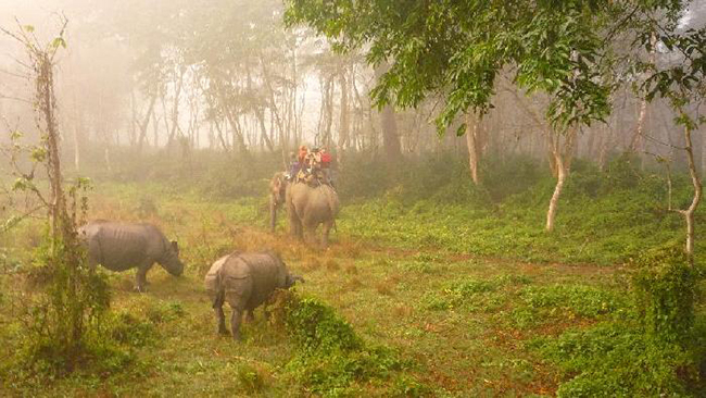 Chitwan-National-Park