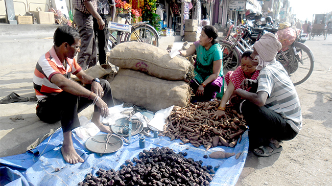 एकादशीमा सखरखन्ड र सिंगाडाको व्यापार बढ्यो