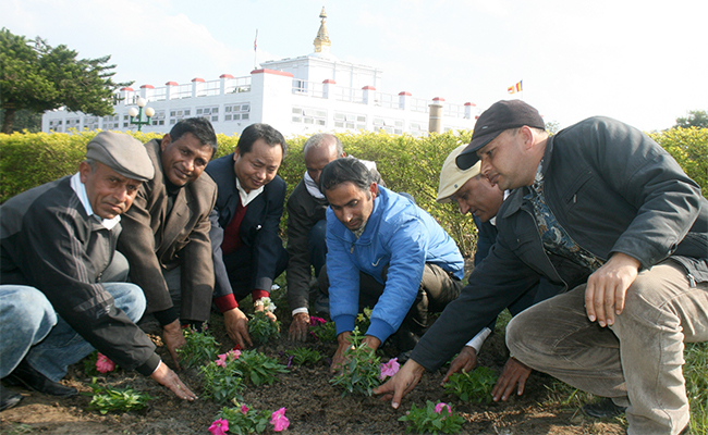 लुम्बिनीको मायादेवी मन्दिरमा पुष्परोपण