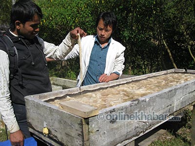 कच्चा पदार्थ देखाउँदै सञ्चालक