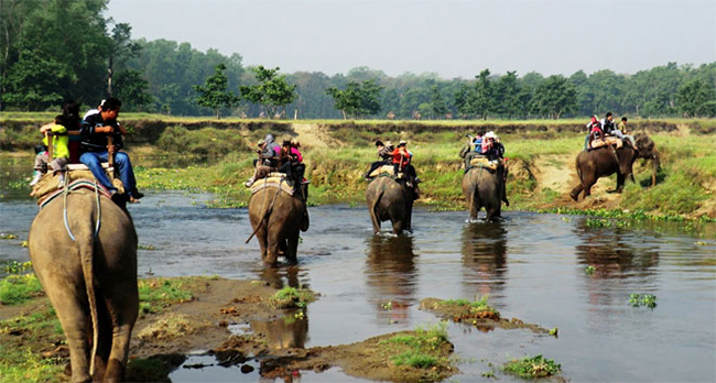 Jungle-Safari-2