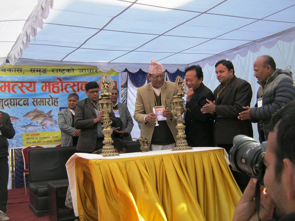 राजधानीमा सुरू भयो माछा महोत्सव, तीन दिनसम्म चल्ने