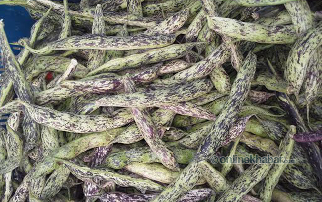 माअोवादी सीमी