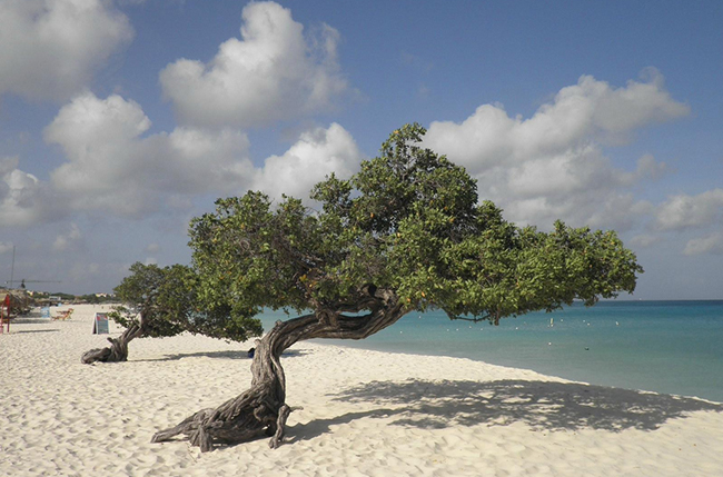 Eagle-Beach