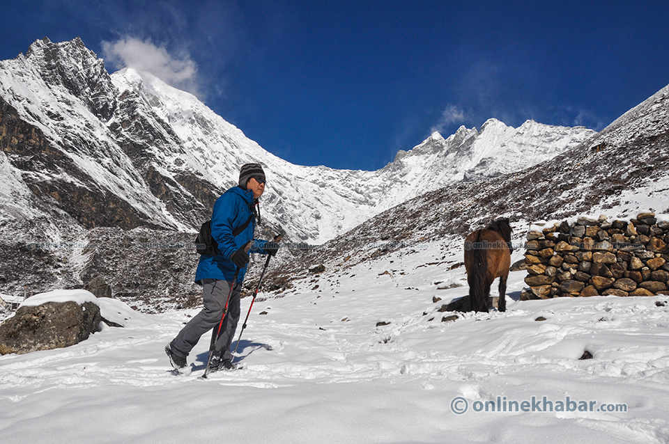 Langtang Himal (8)