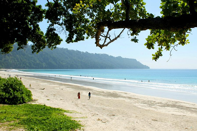 Radhanagar-Beach